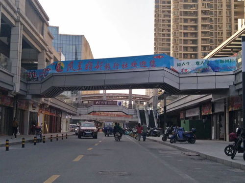 節日奮斗，風景獨好——廣信營業部盛大開業，多重優惠產品傾情上線