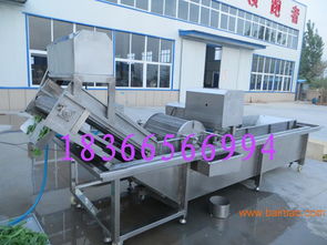 氣泡清洗機 高效清潔的大棗與生姜專業(yè)設(shè)備解決方案